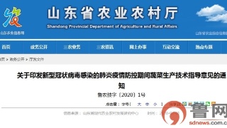 开云在线登入|颈椎不太好慎练瑜伽(图1) 开云官网